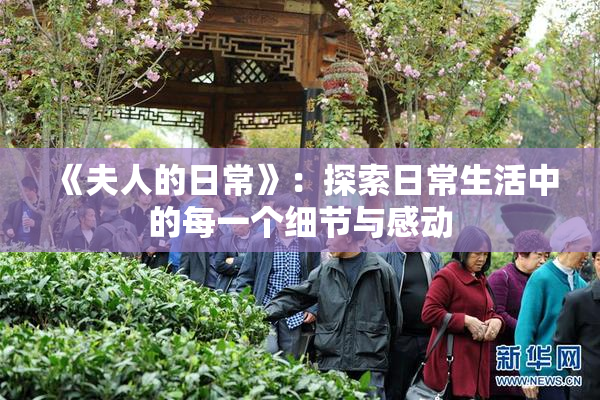 《夫人的日常》：探索日常生活中的每一个细节与感动