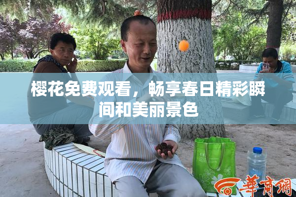 樱花免费观看，畅享春日精彩瞬间和美丽景色