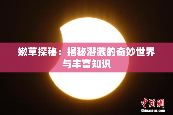 嫩草探秘：揭秘潜藏的奇妙世界与丰富知识