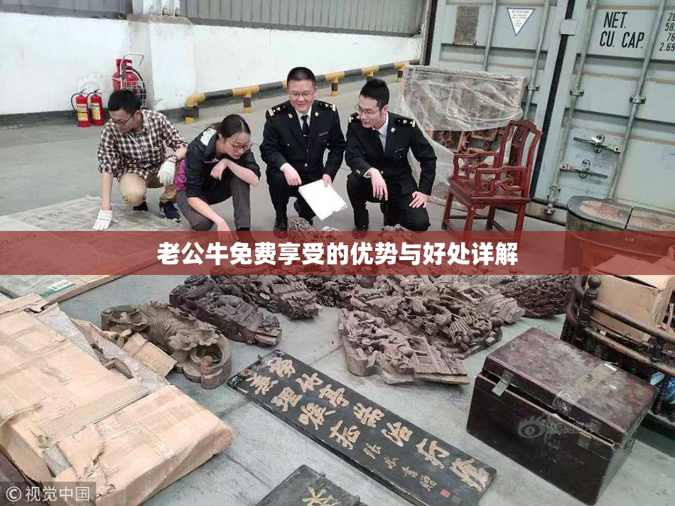 老公牛免费享受的优势与好处详解