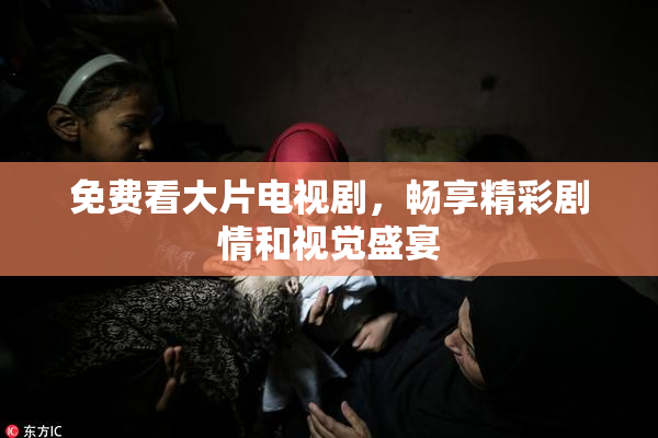 免费看大片电视剧，畅享精彩剧情和视觉盛宴