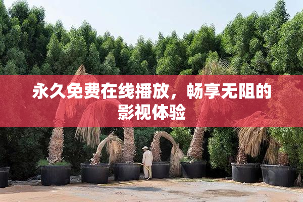 永久免费在线播放，畅享无阻的影视体验