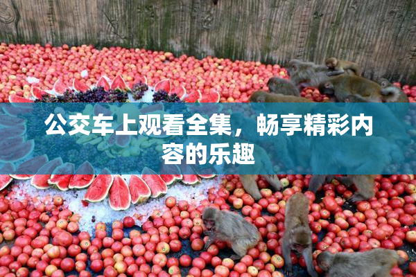 公交车上观看全集，畅享精彩内容的乐趣