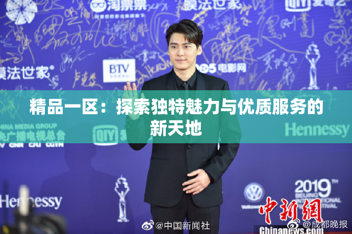 精品一区：探索独特魅力与优质服务的新天地