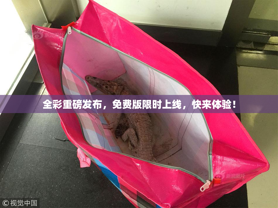 全彩重磅发布，免费版限时上线，快来体验！