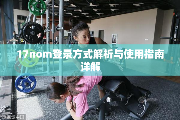 17nom登录方式解析与使用指南详解