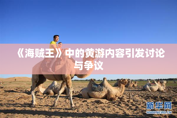 《海贼王》中的黄游内容引发讨论与争议