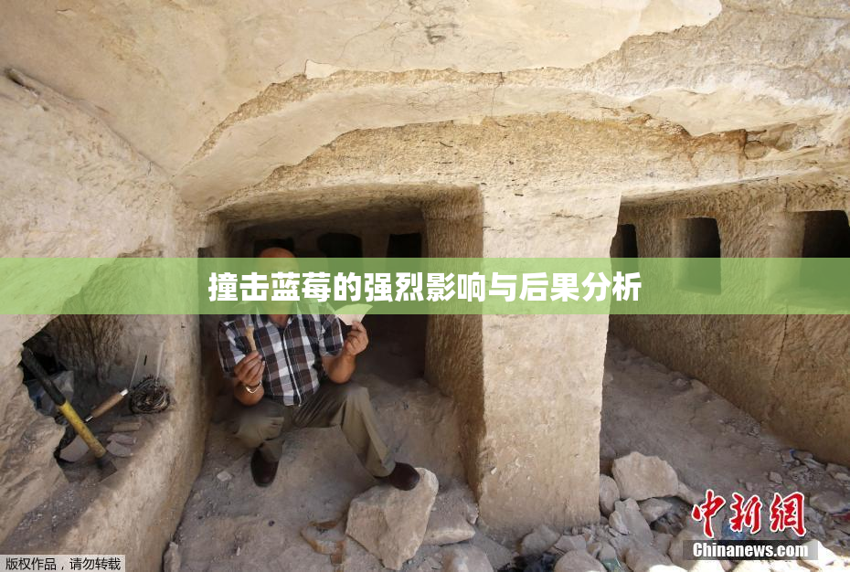 撞击蓝莓的强烈影响与后果分析