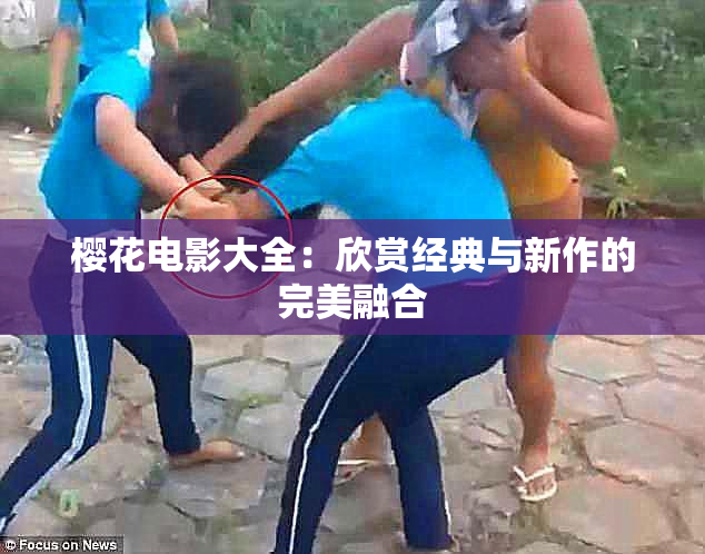 樱花电影大全：欣赏经典与新作的完美融合