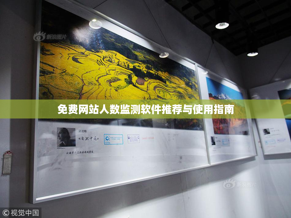 免费网站人数监测软件推荐与使用指南