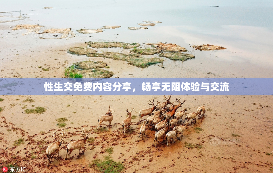 性生交免费内容分享，畅享无阻体验与交流