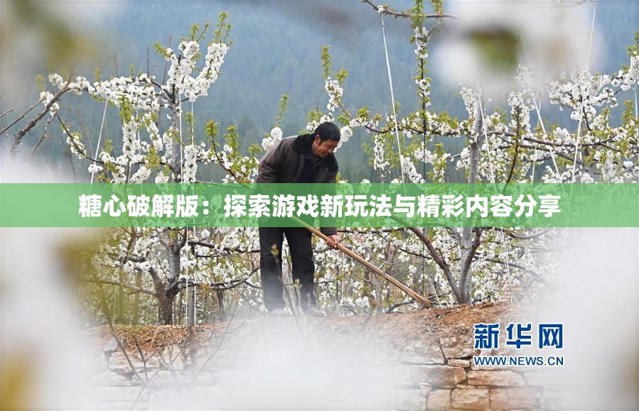 糖心破解版：探索游戏新玩法与精彩内容分享