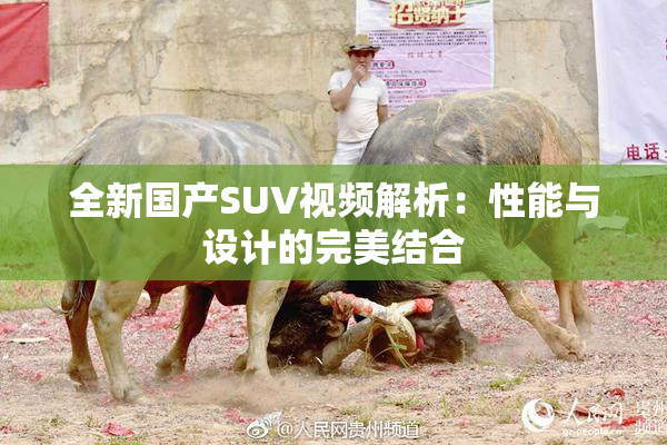 全新国产SUV视频解析：性能与设计的完美结合
