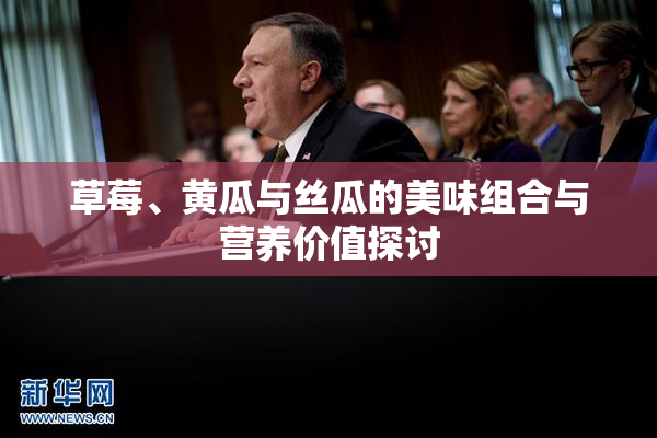 草莓、黄瓜与丝瓜的美味组合与营养价值探讨