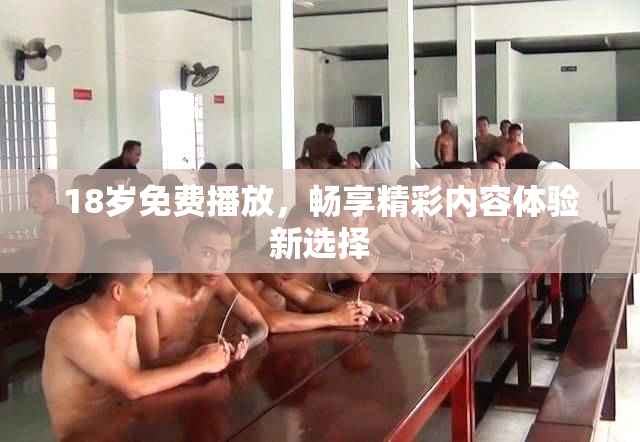 18岁免费播放，畅享精彩内容体验新选择