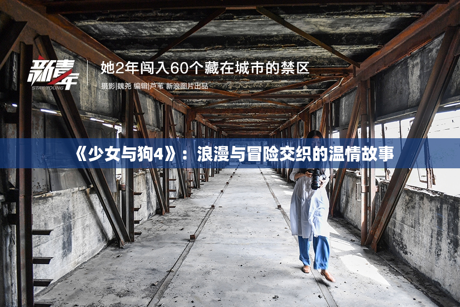 《少女与狗4》：浪漫与冒险交织的温情故事