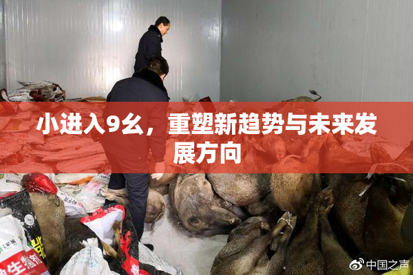 小进入9幺，重塑新趋势与未来发展方向