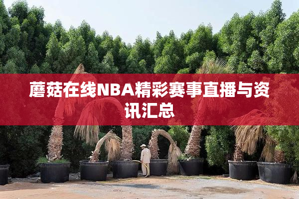 蘑菇在线NBA精彩赛事直播与资讯汇总
