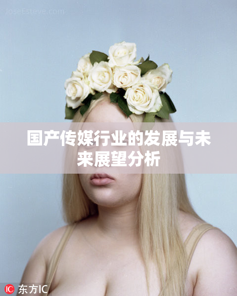 国产传媒行业的发展与未来展望分析