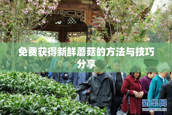 免费获得新鲜蘑菇的方法与技巧分享