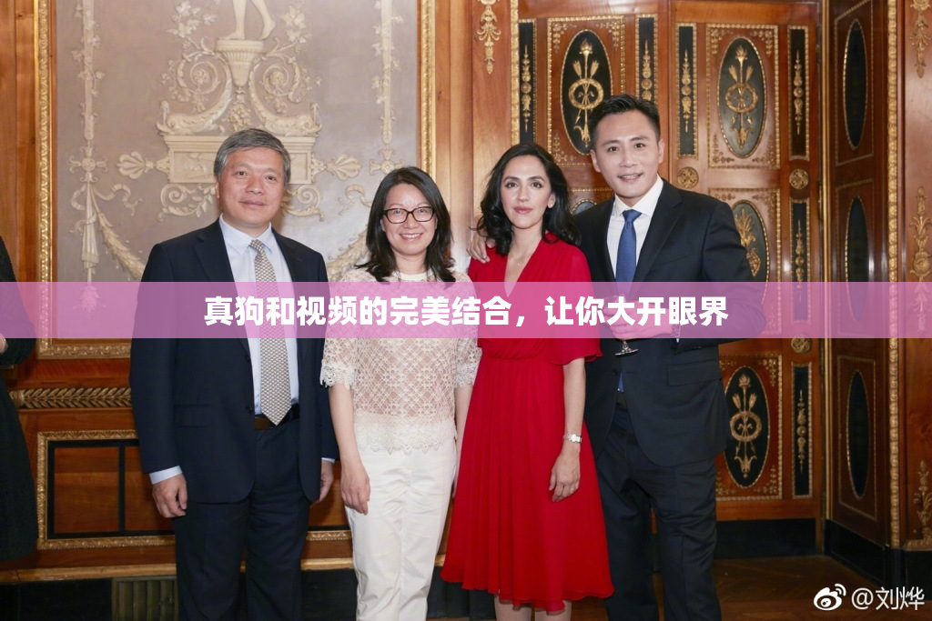 真狗和视频的完美结合，让你大开眼界