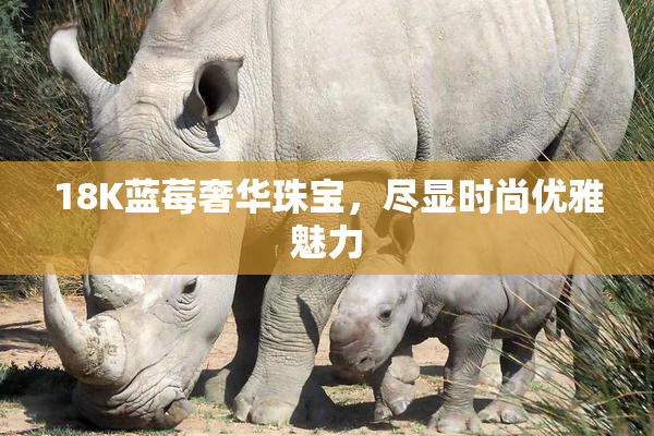 18K蓝莓奢华珠宝，尽显时尚优雅魅力