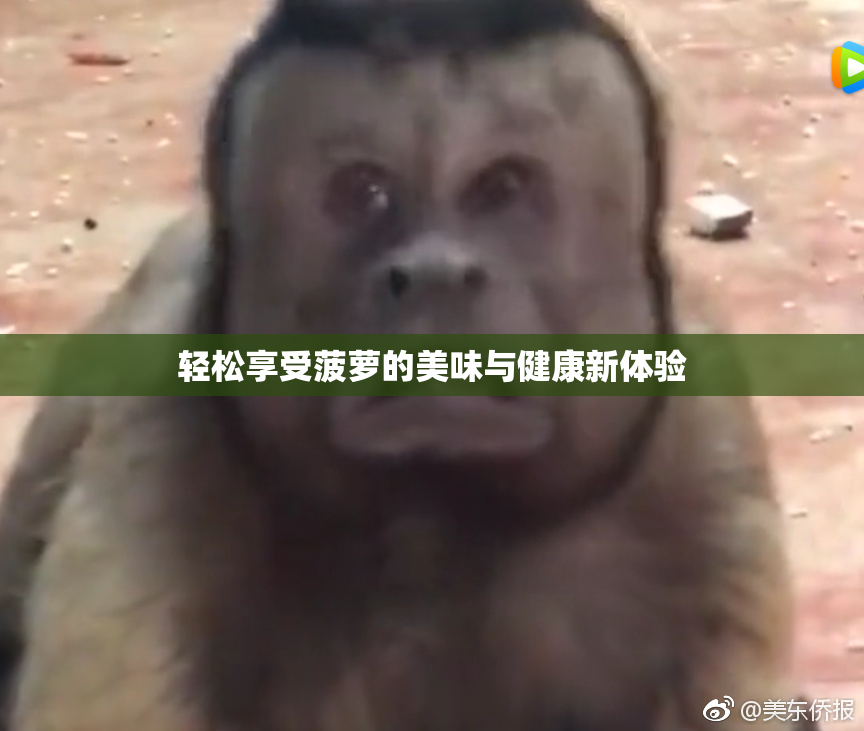 轻松享受菠萝的美味与健康新体验