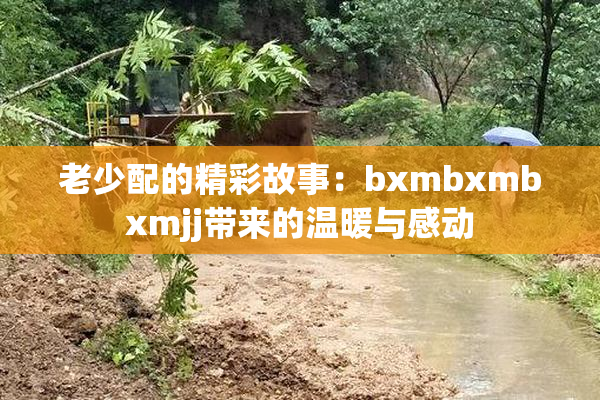 老少配的精彩故事：bxmbxmbxmjj带来的温暖与感动