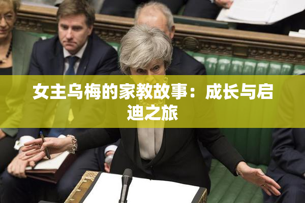 女主乌梅的家教故事：成长与启迪之旅