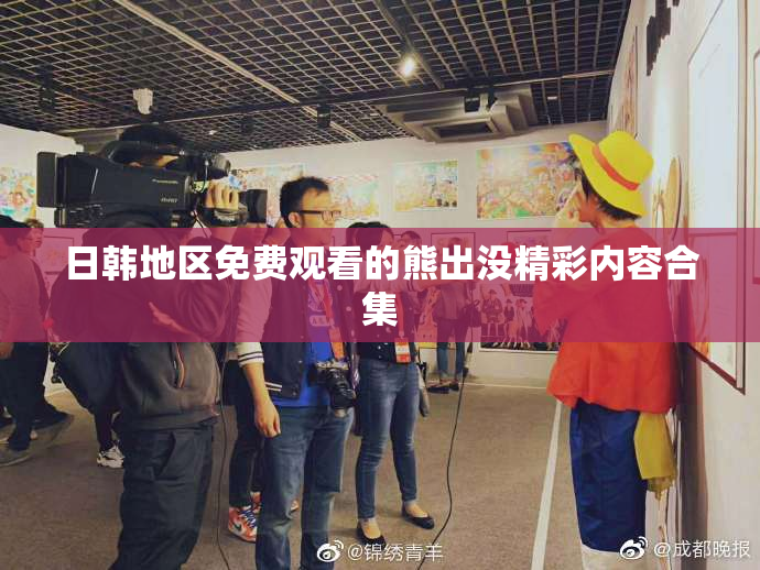 日韩地区免费观看的熊出没精彩内容合集