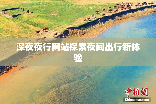 深夜夜行网站探索夜间出行新体验