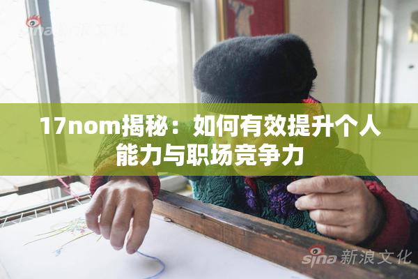 17nom揭秘：如何有效提升个人能力与职场竞争力