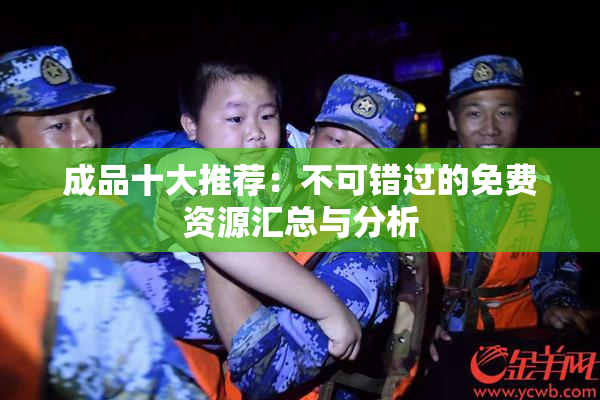 成品十大推荐：不可错过的免费资源汇总与分析