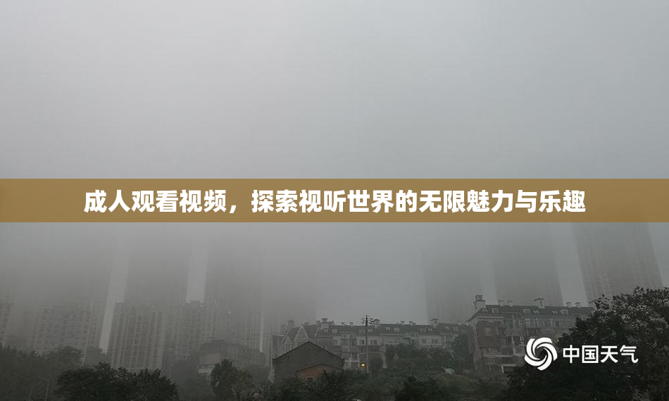 成人观看视频，探索视听世界的无限魅力与乐趣