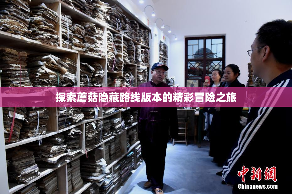 探索蘑菇隐藏路线版本的精彩冒险之旅