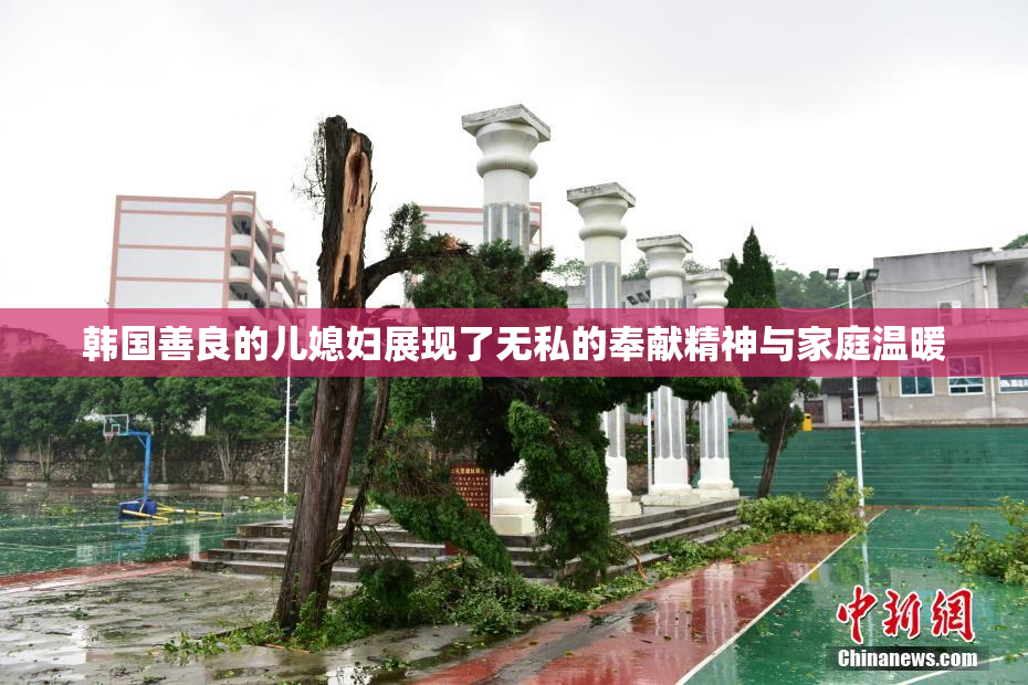 韩国善良的儿媳妇展现了无私的奉献精神与家庭温暖