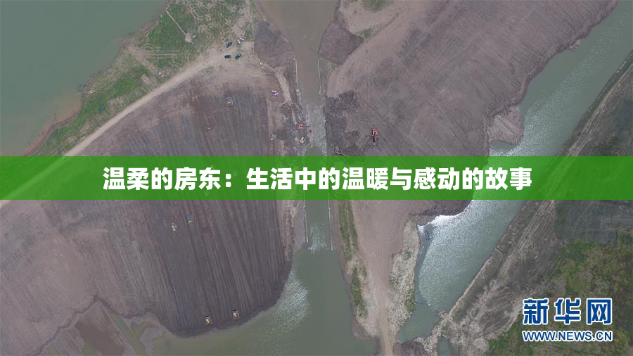 温柔的房东：生活中的温暖与感动的故事