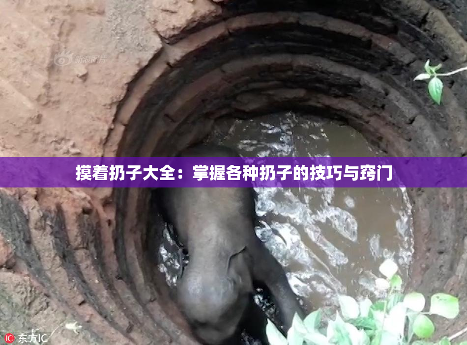 摸着扔子大全：掌握各种扔子的技巧与窍门