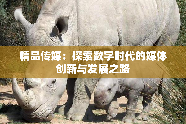 精品传媒：探索数字时代的媒体创新与发展之路
