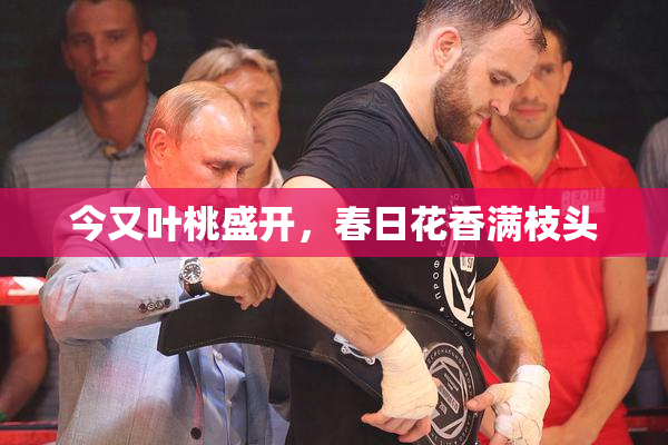 今又叶桃盛开，春日花香满枝头
