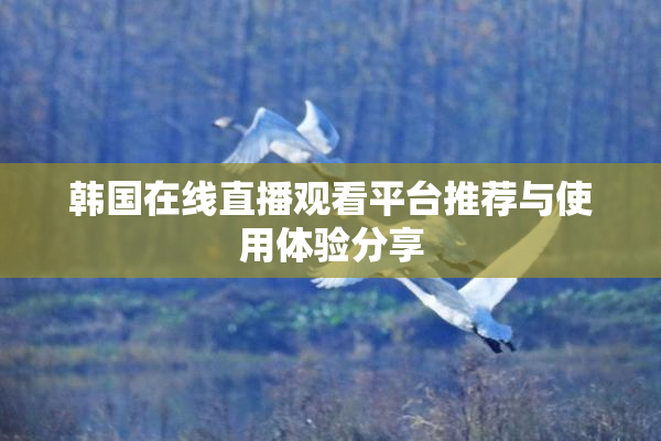 韩国在线直播观看平台推荐与使用体验分享