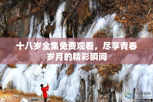 十八岁全集免费观看，尽享青春岁月的精彩瞬间