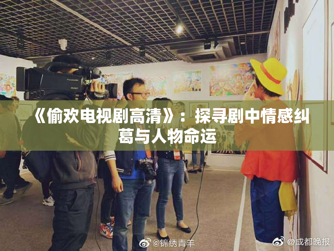 《偷欢电视剧高清》：探寻剧中情感纠葛与人物命运