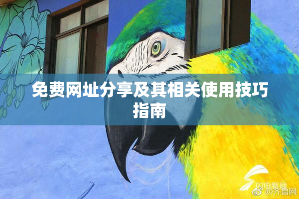 免费网址分享及其相关使用技巧指南
