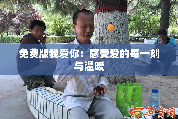 免费版我爱你：感受爱的每一刻与温暖
