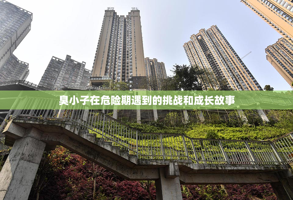 臭小子在危险期遇到的挑战和成长故事
