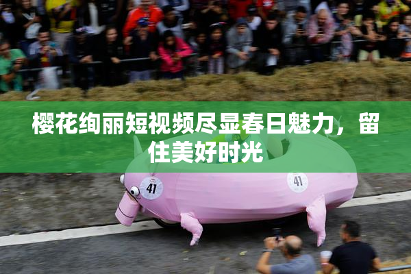 樱花绚丽短视频尽显春日魅力，留住美好时光