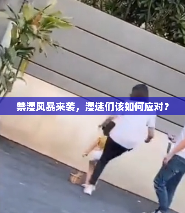 禁漫风暴来袭，漫迷们该如何应对？