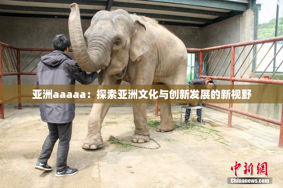 亚洲aaaaa：探索亚洲文化与创新发展的新视野