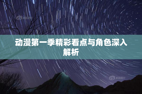 动漫第一季精彩看点与角色深入解析